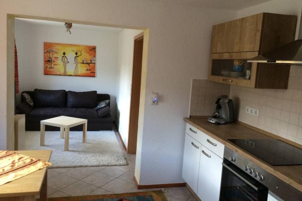Urlaub Mit Blick Auf Schiltachs Fachwerkhaeuser Ngoại thất bức ảnh