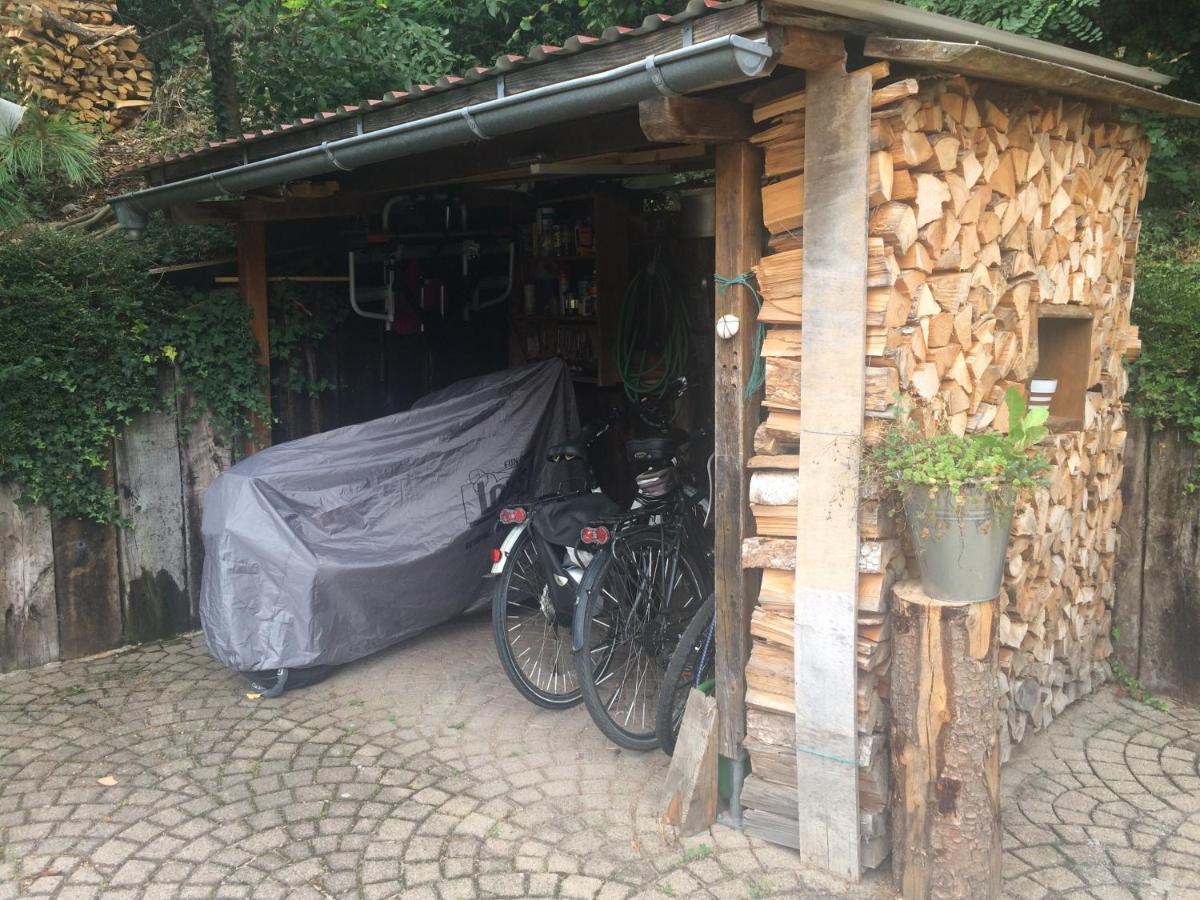 Urlaub Mit Blick Auf Schiltachs Fachwerkhaeuser Ngoại thất bức ảnh